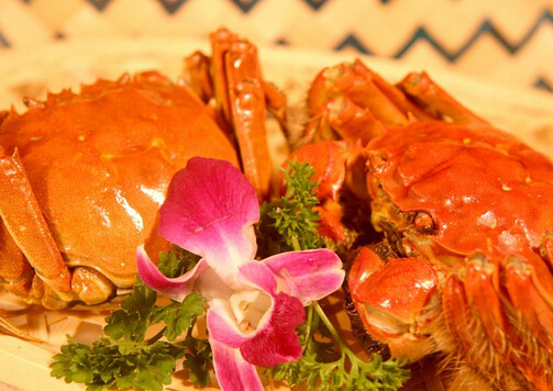 ���lз�ĠI�B�rֵ�c��Ч-���lз��ô�ԣ�