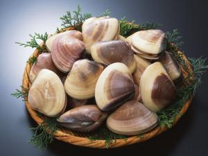 蛤蜊的營(yíng)養(yǎng)價(jià)值-蛤蜊的做法