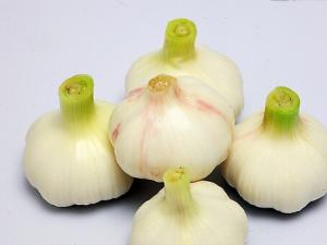 怎么吃大蒜才能有效預防癌癥?