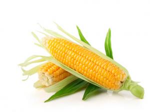 腦血管堵塞吃哪些蔬菜好?吃玉米能軟化動脈血管