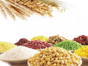 煮粥怎么才有香味?加點堅果味道更好