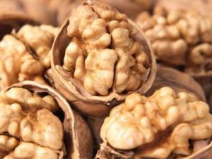 吃什么補腦?如何增強記憶力?9種食物滋補大腦