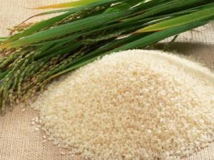 什么樣的大米不能吃?如何挑選優質的大米