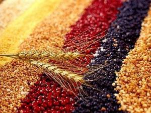 春季如何調理腸胃?清淡粗糧搭配養胃藥膳