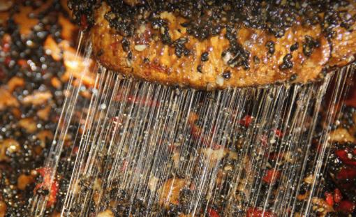 阿膠夏天吃還是冬天吃比較好 阿膠會不會過期