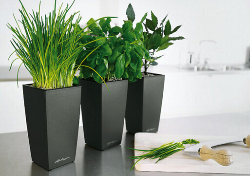 �Ҿ�ֲ���Lˮ�Ľ���-�P��ֲ���Lˮ֪�R