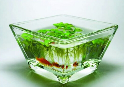 �Lˮ�~����Щ���Lˮ�~�ה[��λ��