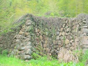 如何看墓地風水？墓地風水學知識