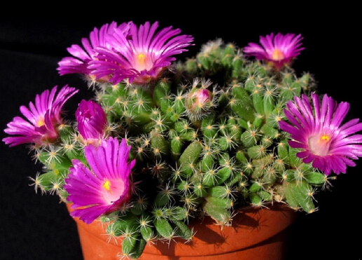 �ϻ��ǵ��Lˮ�W����-�ϻ��ǵ��Bֳ����