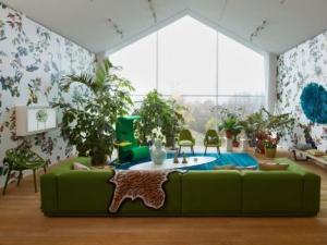 裝修后如何除甲醛？除甲醛最有效方法及植物