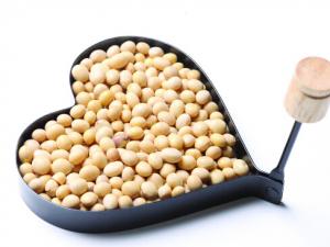 吃大豆易引發(fā)痤瘡-吃什么會促生痘痘?