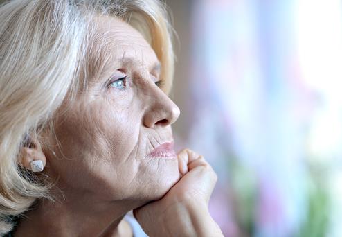 ��������Щ�������T�������L���y