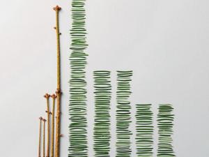 輕微強(qiáng)迫癥有什么表現(xiàn)?如何緩解強(qiáng)迫癥