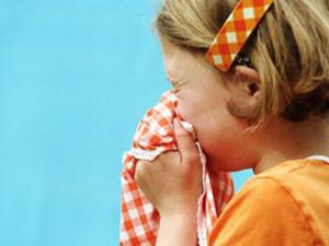 豆豉紫蘇粥治風(fēng)寒感冒?雪梨川貝冰糖飲的功效