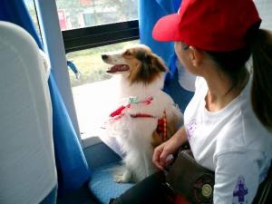 暈車是什么原因？暈車怎么辦？暈車吃什么好