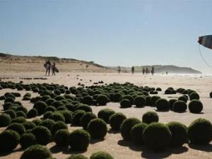 Ϥ�ả���@�F�������ؾGɫ�����嵰��