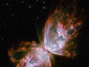 �ƌW���Ĕz�����������^ ɫ�ʽk�����ƺ���