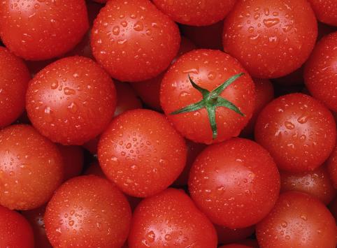 �������ܳ�ʥŮ���᣿�����ڳ�ʥŮ��������