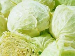 產婦能吃卷心菜嗎？產婦吃卷心菜有什么好處