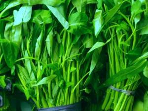 產婦吃空心菜有什么好處？產婦吃空心菜的做法