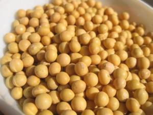 產婦能吃黃豆嗎？產婦吃黃豆的做法