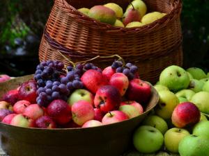 吃荔枝可治療腎虧夢遺-男人吃什么補腎養精？