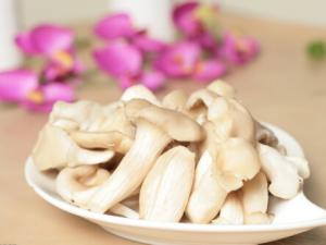 平菇的適宜人群與營養(yǎng)-平菇怎么做好吃?