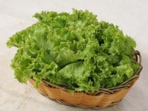 生菜可催眠鎮(zhèn)痛 生菜蘋果汁的做法