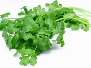 香菜爆里脊怎么做?吃香菜的好處