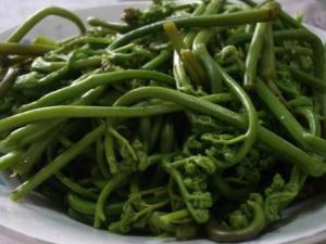 蕨菜怎么做好吃?蕨菜的做法大全