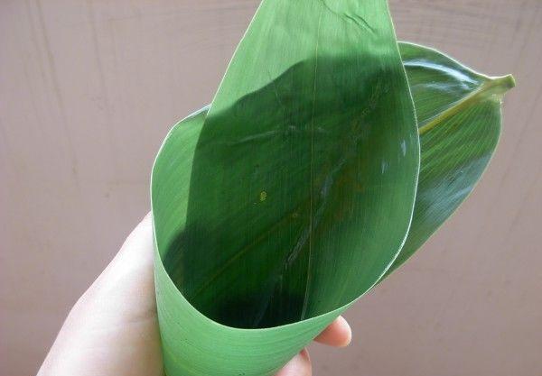 ���繝����������ȫ ������������ϣ��������ӵ�Ԕ���D�Ĳ��E��