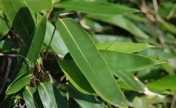 ���繝�����~��ʲô�~�ӣ�ԭ���@ô���~�Ӷ����԰�����