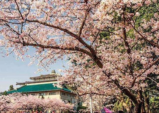 ��h�ѻ�5��߀�І᣿3�·���h�ęѻ��_�ˆ�