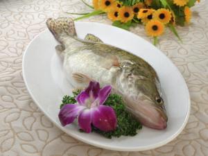 桂魚的營養價值與功效-桂魚的適用人群