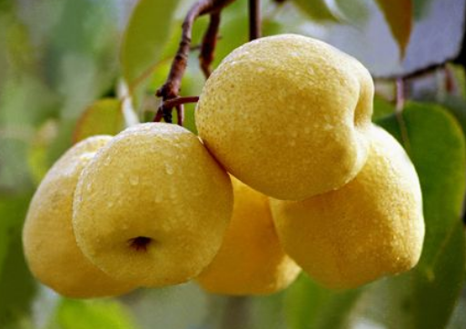 ʳ�������ע�����-����Ĺ�Ч�c����