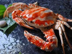 三疣梭子蟹的做法-三疣梭子蟹的營養價值