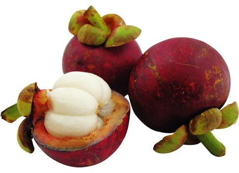 ɽ��ĠI�B(y��ng)�rֵ-ɽ��Ĺ�Ч�c����