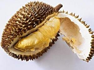 吃榴蓮有什么好處？榴蓮的功效與作用