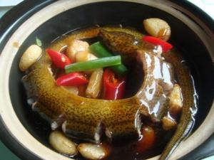 吃黃鱔魚有什么好處?黃鱔的營養價值與功效