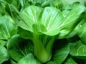 青菜的營養價值、功效與作用、吃青菜的好處