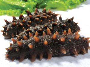 海參的功效與作用-海參的營(yíng)養(yǎng)價(jià)值