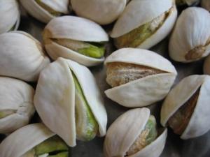 開心果的功效與作用-開心果的營養價值