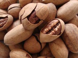 碧根果好吃嗎？碧根果怎么吃？美國山核桃怎么吃