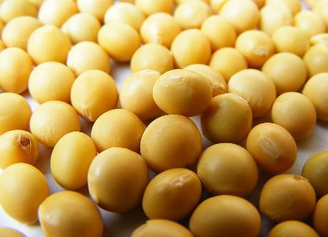 吃黃豆有什么好處?黃豆有什么營養價值