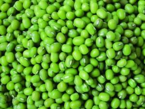 吃綠豆有什么好處？如何煮綠豆？綠豆的功效與作用