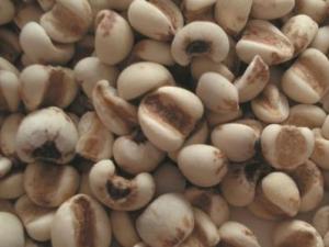 吃薏米有什么好處？薏米的功效與作用及食用方法