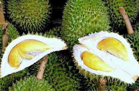 ��ɏ�ĠI�B�rֵ����Ч�c���á�ʳ�ý���