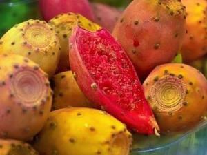 仙人掌果的營養(yǎng)價值-仙人掌果的功效與作用