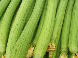 吃絲瓜好嗎?絲瓜的營養價值、功效與作用