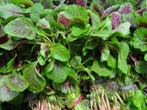 吃莧菜好嗎？莧菜的營(yíng)養(yǎng)價(jià)值、功效與作用